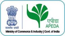 apeda